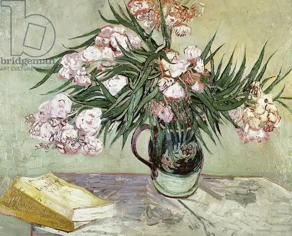 Gogh, Vincent van: Oleander and book